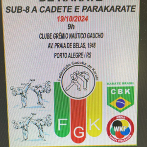 professor sensei Posebom Academia Dojokai