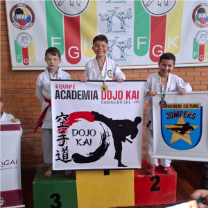 professor sensei Posebom Academia Dojokai